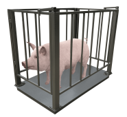 Ваги для свиней Днепровес ВПД-СК-750х1200 0.5т