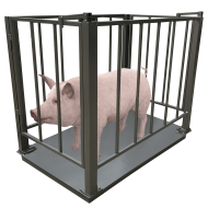 Весы для свиней Днепровес ВПД-СК-1015 2т