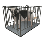 Ваги для великої рогатої худоби Днепровес ВПД-СК-1020 3т