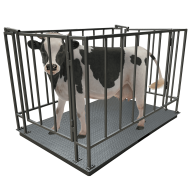 Ваги для великої рогатої худоби Днепровес ВПД-СК-1020 0.5т