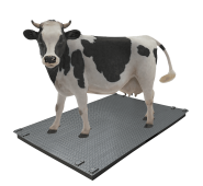 Ваги для великої рогатої худоби без решітки Днепровес 
 ВПД-1520-СК 0.5т