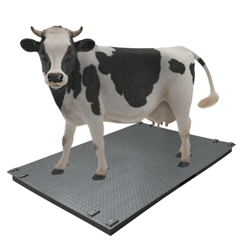 Ваги для великої рогатої худоби без решітки Днепровес  ВПД-1020-СК 1т