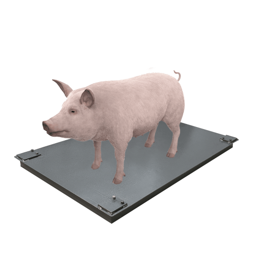 Ваги для свиней без решітки Днепровес ВПД-750х1200-СК 3т