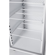 Холодильный шкаф R 0.5 S