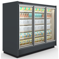 Морозильный регал Cooles Freeze Modern Expo 2075х3124х1000 мм, 16 полок, выносной агрегат, распашные двери, металл, Украина, -15/-18°C