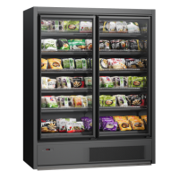 Морозильний регал Cooles SlimFreeze PRO 2100х1562х660 мм, Modern Expo, морозильна гірка, вбудований агрегат, розпашні двері